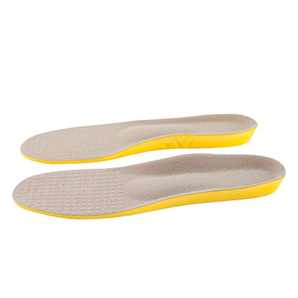 Shoe Insole