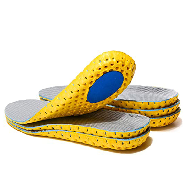 Shoe Insole