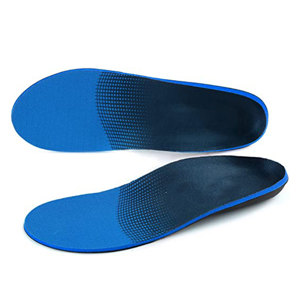 Shoe Insole