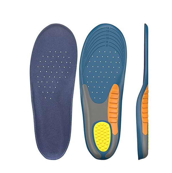 Shoe Insole